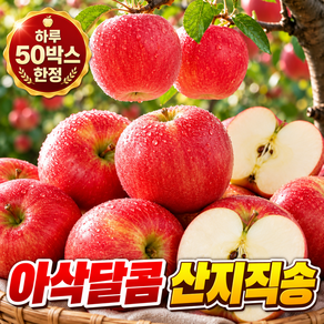 [출하기념 특가] 2026 햇 부사사과 아삭달콤 국내산