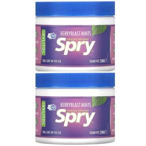 자일러 Spry 자일리톨 베리블라스트맛 캔디 240개입