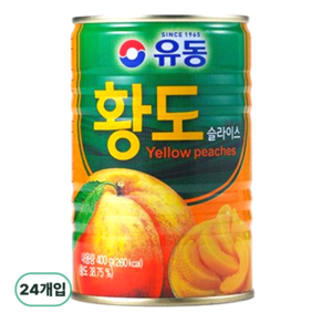 유동 황도 슬라이스