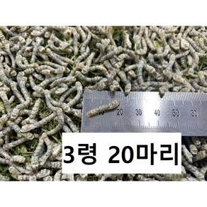 배송일 상세확인필수 하이농장 파충류 먹이 먹이용 누에 뽕잎 살아있는 누에 도마뱀 먹이 크레스티드게코 먹이