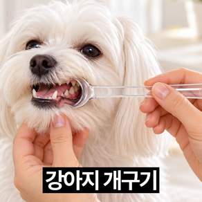 디심플 소형견 어금니 양치 강아지 개구기