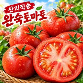 [경매초특가] 80박스한정 쫀득탱글 7brix이상 특품 완숙토마토