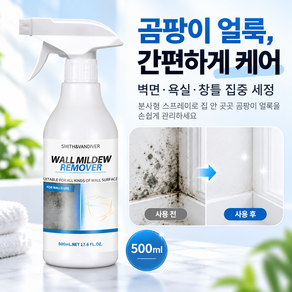 곰팡이 제거제 스프레이 벽면 욕실 창틀 베란다 곰팡이 얼룩 클리너