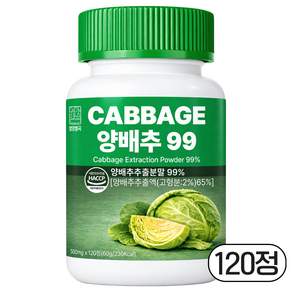 영양별곡 양배추 정 99%
