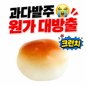 말랑숲 크런치 말랑이 슬랑이