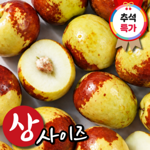 [한정특가] 제철수확 산지선별 아삭달콤 사과대추