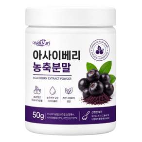 웰누리 대용량 아사이베리 농축 분말 100%, 1개, 50g
