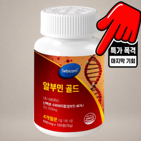 세비콤 알부민 골드 600mg 대용량