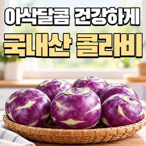[제주직송] 당일수확 특품 제주 햇 콜라비 아삭달콤 고당도