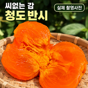 [품질보장제] 꿀맛 씨없는 청도반시 홍시