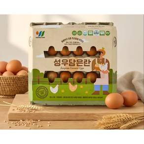[성우담은란] 파손 100퍼센트 환불 난각번호 2번 동물복지 방역 1등급 Haccp 100퍼센트 식물성 단백질 사료와 대추를 급이한 유정란 (대란)