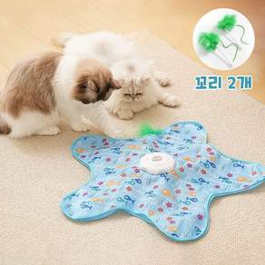 고양이 애완동물 사냥놀이 장난감 꼬리잡기 별모양 자동