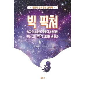 [사일런스북]빅 픽쳐 : 양자와 시공간 생명의 기원까지 모든 것의 우주적 의미에 관하여 - 장하석 교수 추천과학책