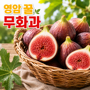 영암 무화과 홍무화과 제철 유기농 생 과일