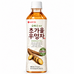 롯데칠성음료 잘빠진 하루 초가을 우엉차