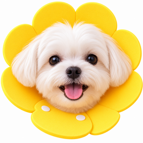 베니그누스 머리에꽃이핀 강아지 고양이 넥카라