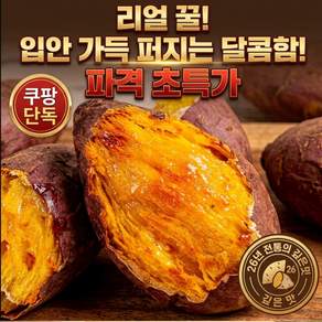 [초고당도] 해남 꿀 호박고구마 특상품 산지직송