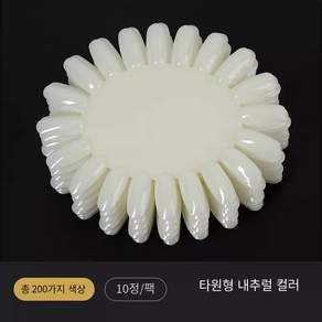 네일차트 아트판 칼라 원형 컬러차트 물결