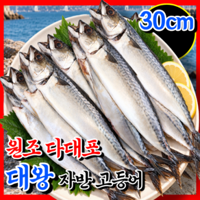 [원조 다대포] 국내산 손질 고등어 28cm내외 대왕 자반 참고등어 천일염 부산직송