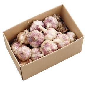 더옹달샘 햇 수확 국산 마늘 통마늘 1kg 중+대 혼합