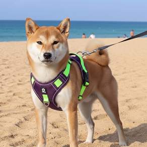 푸키 강아지 중형견 대형견 이중잠금 리지드 하네스 가슴줄