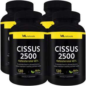 마이라이프 내추럴스 시서스 2500mg