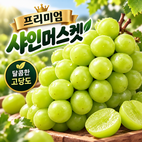 [타임세일] 하루 100박스 한정 고당도 샤인머스켓