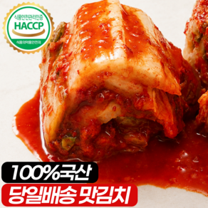 [HACCP인증] 100% 국내산 맛김치 썰은 배추 김치