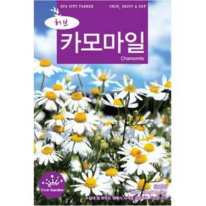 살아있는 허브 씨앗 모음 허브씨