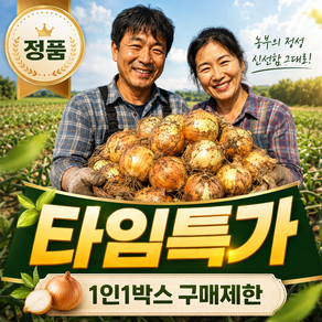 [100박스한정특가] 금메달농수산 국내산 창녕 햇양파
