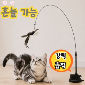 그로브홈 셀프놀이 흡착 고양이 와이어 낚시대