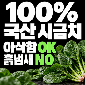 국내산 시금치구매 1위 국산 시금치100%