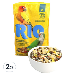 RIO 데일리 중소형 코뉴어 퀘이커 21252