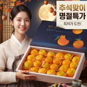 [추석명절특가]프리미엄 제주 황금향 선물세트