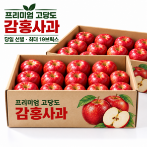 [오늘담은농산] S급 특품 당일선별 꿀보장 고당도 아삭한 감홍 사과