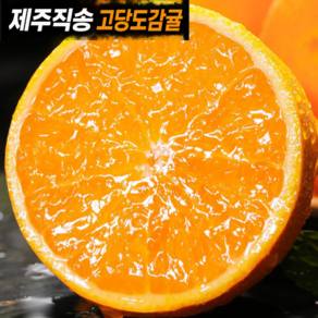 [정성을담아] 제주직송 극조생SS급 초고당도 제주감귤