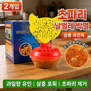 초파리 2in1 트랩 날파리 파리 유인 끈끈이 포획기 가정용 날벌레 퇴치 트랩