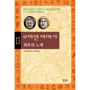 로마인 이야기 13 : 최후의 노력