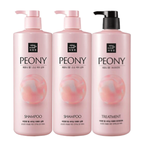 미쟝센 펄샤이닝 퍼퓸 피오니향 1000ml 샴푸2개+ 트리트먼트1개