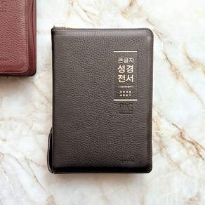 큰글씨 천연 가죽 성경책 개역개정 새찬송가 큰글 큰글자 성경