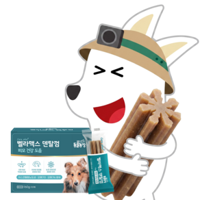 벨라맥스 SBS TV 동물농장 수의사 강아지 덴탈껌
