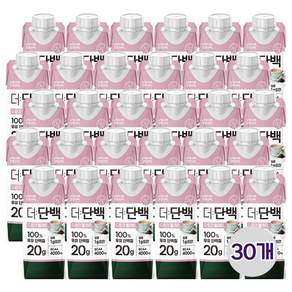 빙그레 더단백 드링크 밀크티