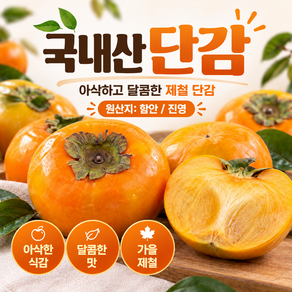 [산지바로]단감 햇단감 제철단감 함안단감 진영단감 가정용 랜덤과 특품 선물용단감 고당도감