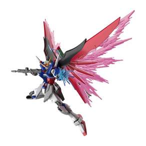 BANDAI SPIRITS HGCE SEED DESTINY 1144 (반다이 스피리츠) 기동 전사 건담 데스티니
