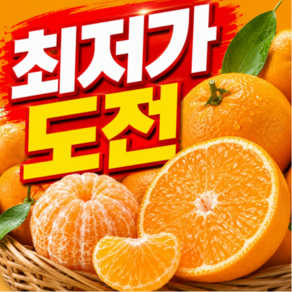 [100박스한정판매] 국내산제주직송 달콤과즙팡팡 초고당도 감귤
