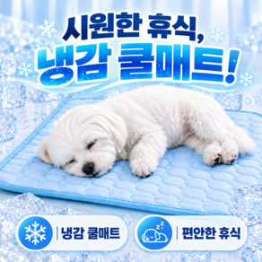 포이시앙 강아지 쿨매트 방석 냉감