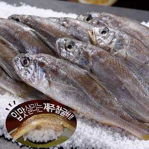 제주 참굴비 대장대 40미(700g*4줄 2.8kg)