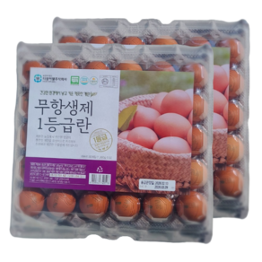 제이피농장 무항생제 계란 1등급란 더불어웰