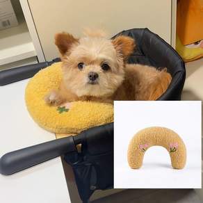 강아지 식탁의자 테이블 거치 티케이엘