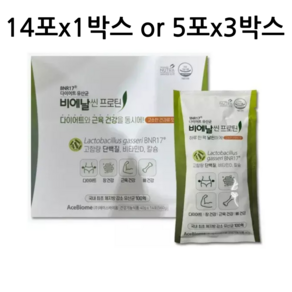 비에날씬 BNR17 [본사출고] 프로틴